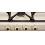 Газовая поверхность Zigmund & Shtain GN 208.61 X