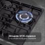 Газовая поверхность Zigmund & Shtain G 22.4 B